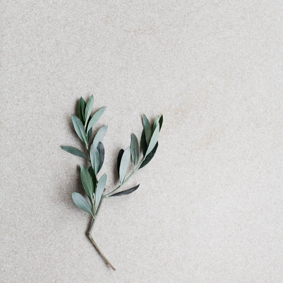 Plantaardige Shampoo